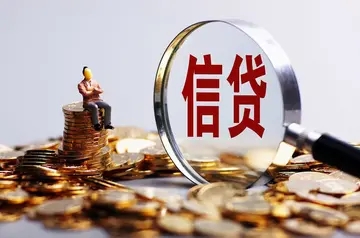 信用贷款可以停息挂账吗